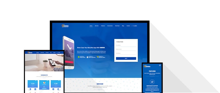 devLuk's Responsive Website Development